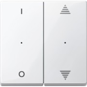 Wippe pws/gl für Tastermodul 2f. 619519 