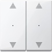 Wippe pws/gl für Tastermodul 2f. 619719 