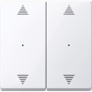 Wippe aws/gl für Tastermodul 2f. 619725 