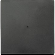 Wippe anth für Tastermodul 1f. 625114 