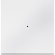 Wippe pws für Tastermodul 1f. 625119 