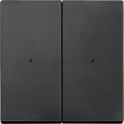 Wippe anth für Tastermodul 2f. 625214 