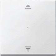 Wippe pws für Tastermodul 1f. 625519 