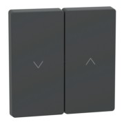 Wippe anth Rollladenschalter MEG3855-6034 