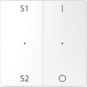 morepic-1