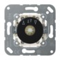 morepic-1