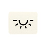 Symbol ws LICHT 33 L 