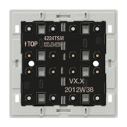 Tastsensor-Modul 2-fach 24V AC/DC 20mA 4224 TSM 