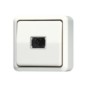 morepic-1
