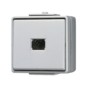 morepic-1