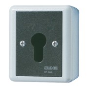 Schlüsselschalter 16AX 250V 2-pol. 806.28 G 