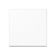 Wippe aws für Taster A 590 WW 