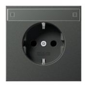SCHUKO-Steckdose 16A 250V mit Schriftfeld AL 1520 NA AN 