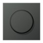 morepic-1