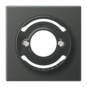 morepic-1