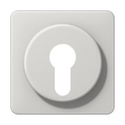 Abdeckung lgr für Schlüsselschalt. CD 528 LG 