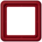 morepic-1