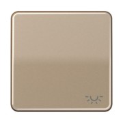 Wippe Symbol LICHT gold br für Taster CD 590 L GB 
