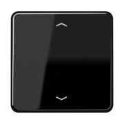 Wippe Symbole sw für Taster CD 590 P 