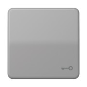 Wippe Symbol TÜR gr für Taster CD 590 T 