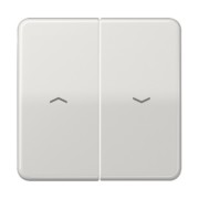 Wippe Symbole lgr für Jal.Schalter CD 595 PBF LG 