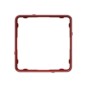 morepic-1