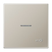 Wippe geprägtes Symbol Tür edelstahl ES 2990 KO5 TP 
