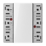 Tastsensor-Modul 1fach AC/DC24V 1-k. 2Sp. LS 5212 TSM 