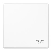Wippe Symbol LICHT aws für Taster LS 990 L WW 