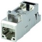 morepic-1
