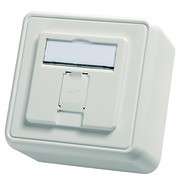 Modul-Aufnahme AP 80x80 1fach aws leer 100021381 
