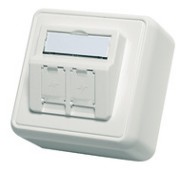 Modul-Aufnahme AP 80x80 2fach aws leer 100021382 