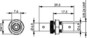 morepic-4