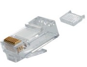 RJ45-Stecker MP8 100023025 