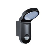 ESYLUX LED-Strahler 5000K, sw AOLWL100OP900850MDBK 