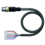 Anschlussleitung M12-St.gerade 12p RSC12T-10/TEL 