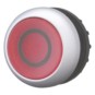 morepic-1