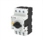 morepic-1