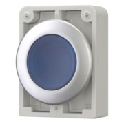 Eaton Leuchtdrucktaste blau, flach M30C-FDL-B 