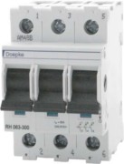 Hauptschalter RH 063-300 