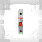 morepic-4