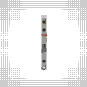morepic-4