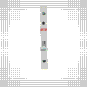 morepic-4