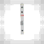 morepic-4
