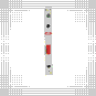 morepic-4