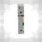 morepic-4