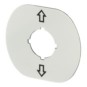 morepic-3