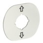 morepic-4
