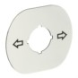 morepic-4