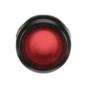 morepic-1